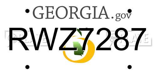RWZ7287 Georgia License Plate