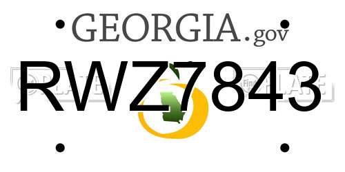 RWZ7843 Georgia License Plate