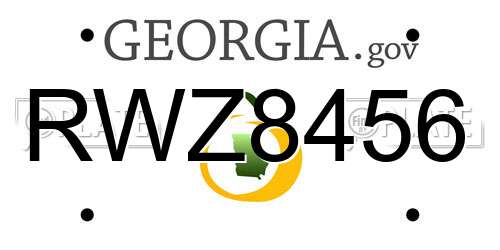 RWZ8456 Georgia License Plate