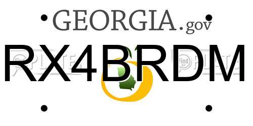 RX4BRDM Georgia License Plate