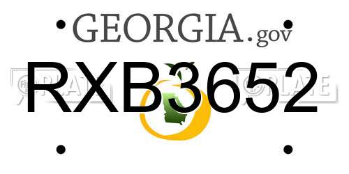 RXB3652 Georgia License Plate