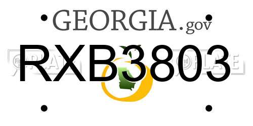 RXB3803 Georgia License Plate
