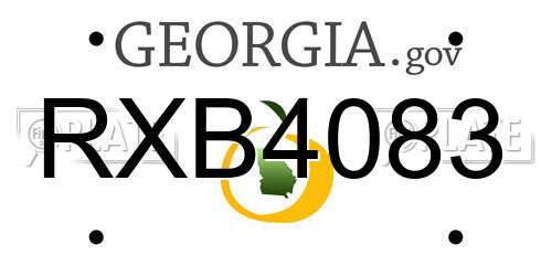 RXB4083 Georgia License Plate