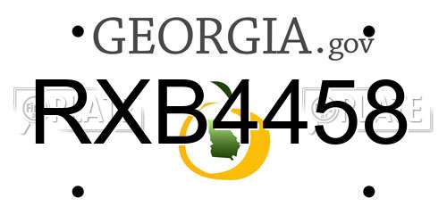 RXB4458 Georgia License Plate