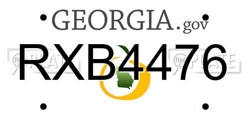 RXB4476 Georgia License Plate
