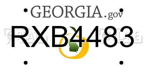 RXB4483 Georgia License Plate