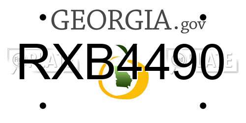 RXB4490 Georgia License Plate