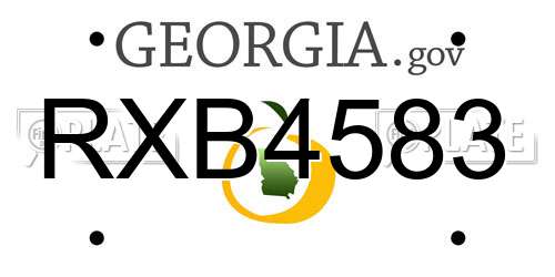 RXB4583 Georgia License Plate