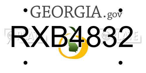RXB4832 Georgia License Plate