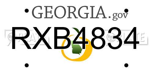 RXB4834 Georgia License Plate