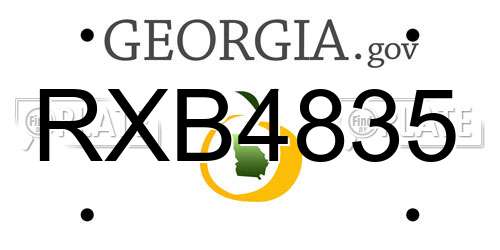 RXB4835 Georgia License Plate