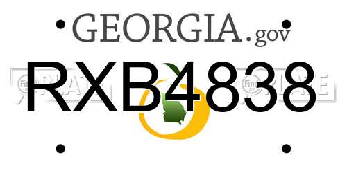 RXB4838 Georgia License Plate
