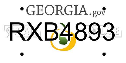 RXB4893 Georgia License Plate