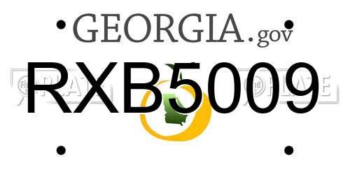 RXB5009 Georgia License Plate