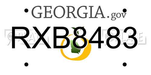 RXB8483 Georgia License Plate