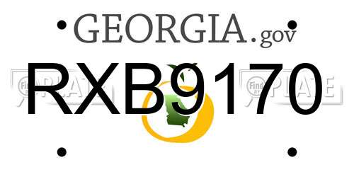 RXB9170 Georgia License Plate