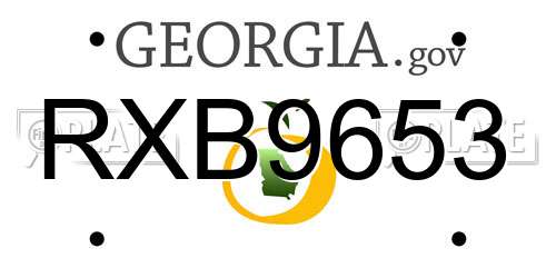 RXB9653 Georgia License Plate
