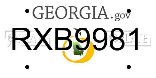 RXB9981 Georgia License Plate