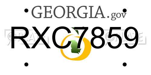 RXC7859 Georgia License Plate