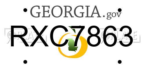 RXC7863 Georgia License Plate