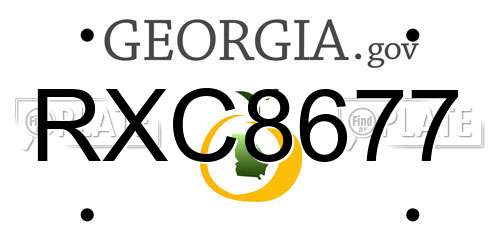 RXC8677 Georgia License Plate