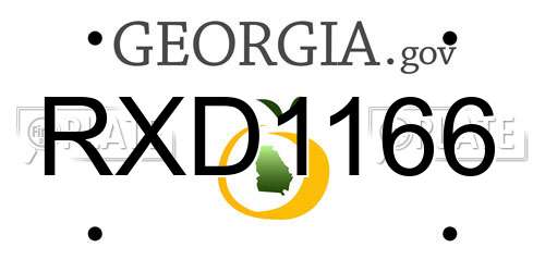 RXD1166 Georgia License Plate
