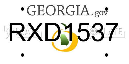 RXD1537 Georgia License Plate