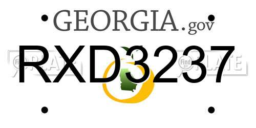 RXD3237 Georgia License Plate