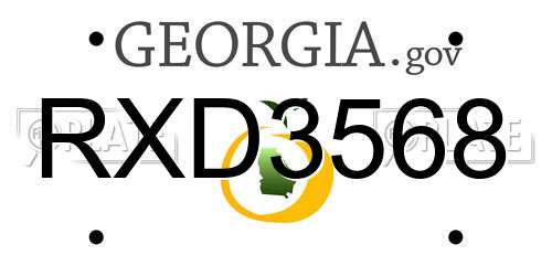 RXD3568 Georgia License Plate