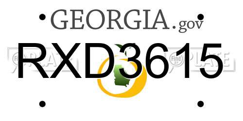 RXD3615 Georgia License Plate