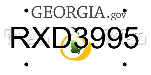 RXD3995 Georgia License Plate