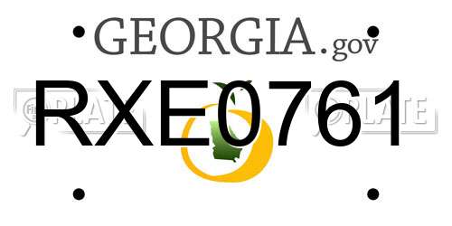 RXE0761 Georgia License Plate