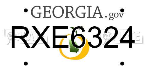 RXE6324 Georgia License Plate