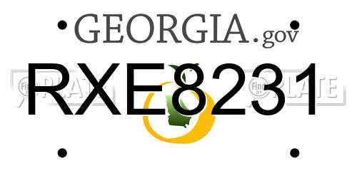 RXE8231 Georgia License Plate
