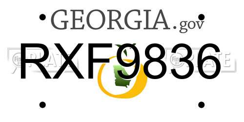 RXF9836 Georgia License Plate