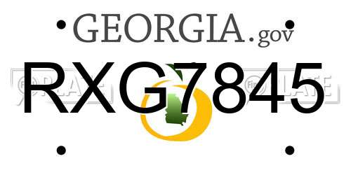 RXG7845 Georgia License Plate