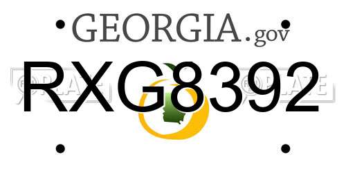 RXG8392 Georgia License Plate