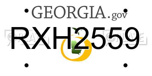 RXH2559 Georgia License Plate