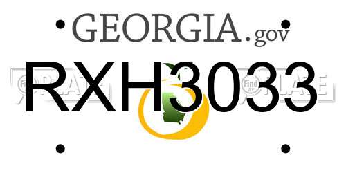 RXH3033 Georgia License Plate