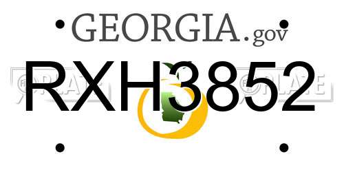 RXH3852 Georgia License Plate
