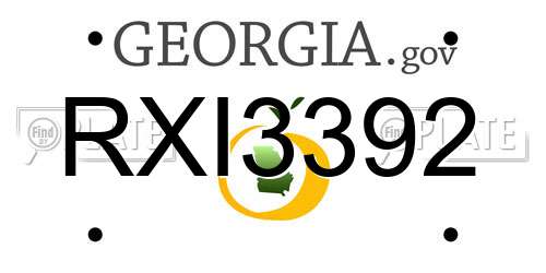 RXI3392 Georgia License Plate