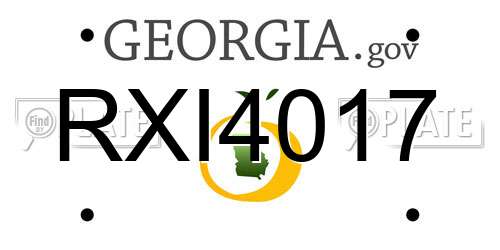 RXI4017 Georgia License Plate
