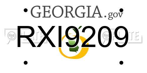 RXI9209 Georgia License Plate