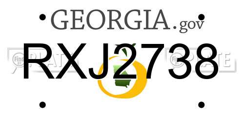RXJ2738 Georgia License Plate