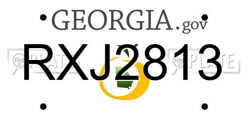 RXJ2813 Georgia License Plate