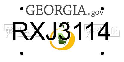 RXJ3114 Georgia License Plate