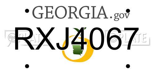 RXJ4067 Georgia License Plate