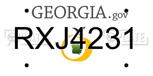 RXJ4231 Georgia License Plate