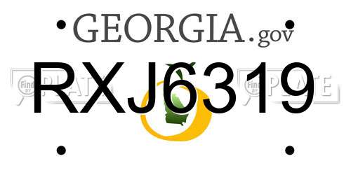 RXJ6319 Georgia License Plate