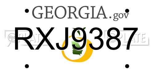 RXJ9387 Georgia License Plate